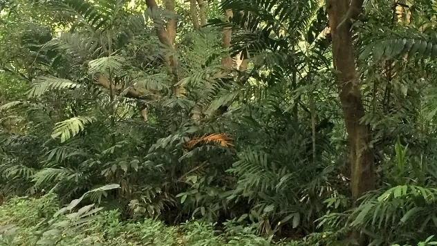 Taming the Jungle: Hardening your AWS infrastructure