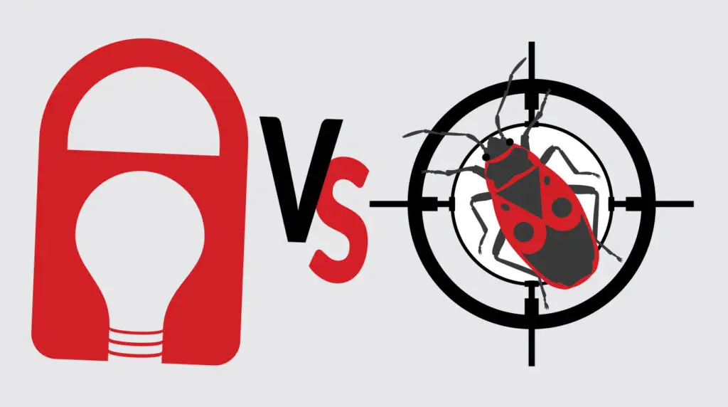 What’s the Difference between Penetration Tests and Bug Bounties