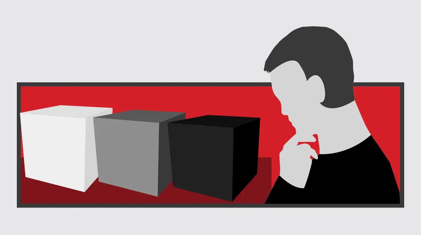 Gray Box vs White Box vs Black Box
