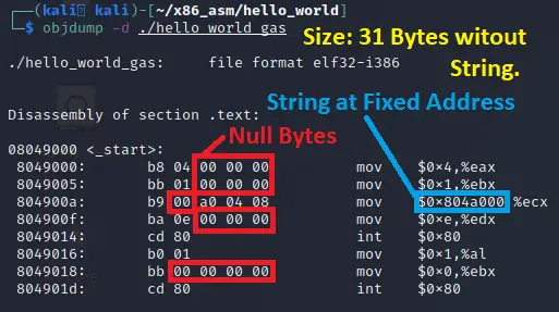 Reviewing the issues with our objdump output