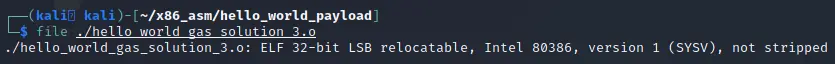 Linux file command showing the compiled object file as an ELF