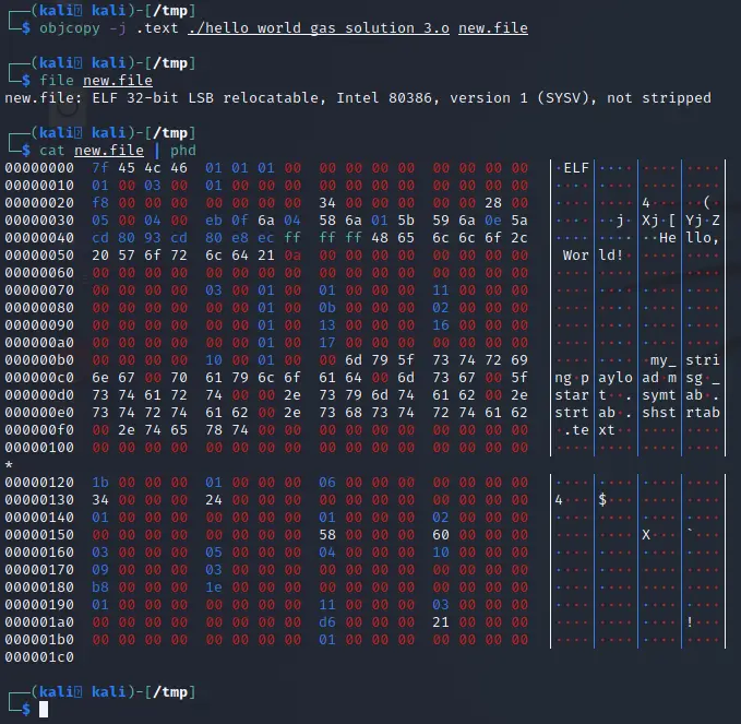 Objcopy still producing an ELF without output format specified