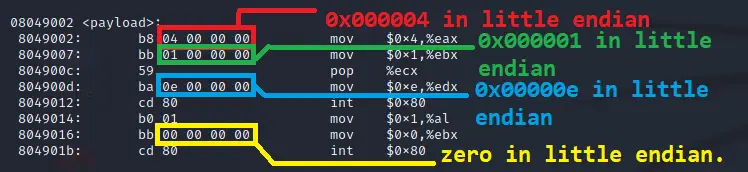 Highlighting remaining null bytes in the payload