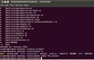 BeEF install script output listing required gems