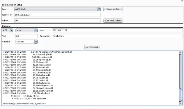 Burp CO2 Laudanum shell interface showing the pseudo-shell prompt with IP restriction and authentication token configuration