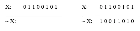 Completed NOT X problem showing the final result of 1 0 0 1 1 0 1 0