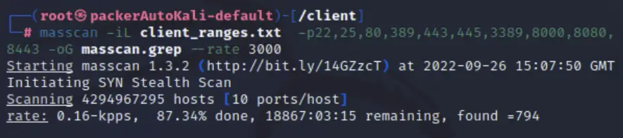 A command in Kali Linux using Masscan that will be quicker