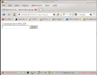 Laudanum cmd.jsp shell command interface in the browser