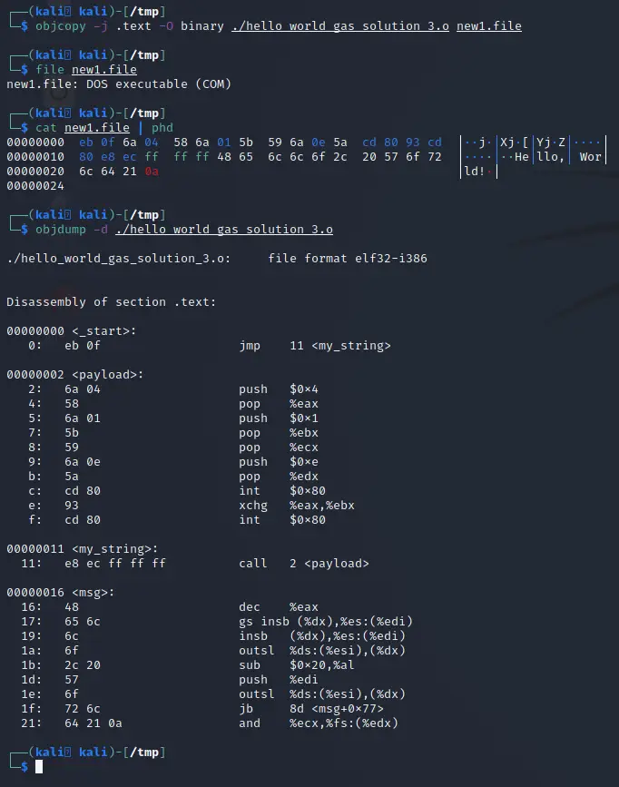Hex dump and objdump comparison showing the extracted .text section matches the payload