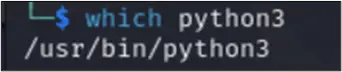 which python3 command output
