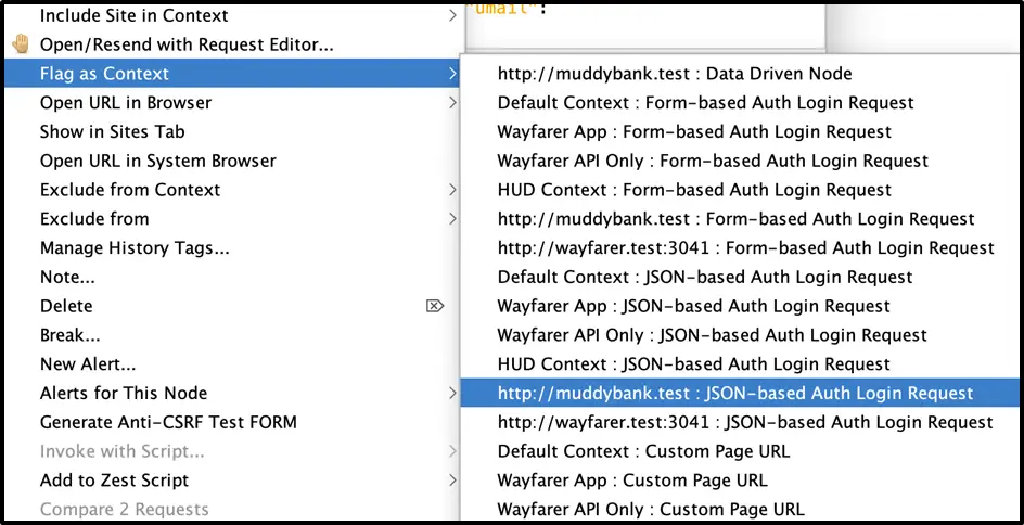 ZAP Flag as Context menu with JSON-based Auth highlighted