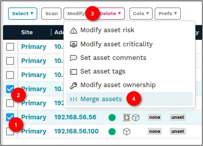 runZero merge assets dialog