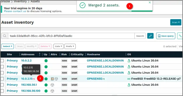 runZero inventory after asset merge