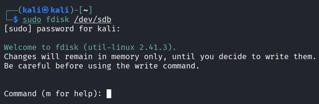 fdisk TUI prompt showing the command interface for managing partitions on /dev/sdb