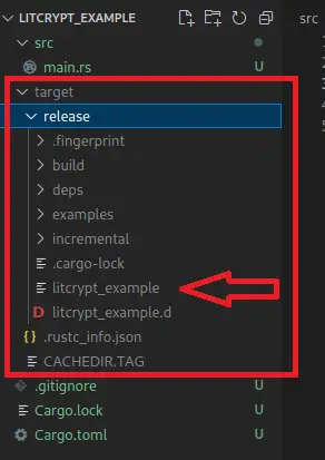 The file structure has changed after the build to output the binary