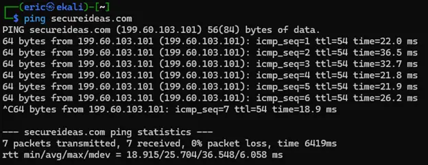 Linux ping output