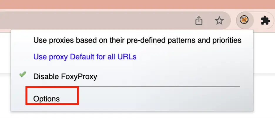 Chrome FoxyProxy extension menu with Options highlighted
