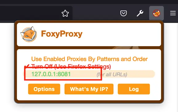 Firefox toolbar with FoxyProxy selecting the 127.0.0.1:8081 proxy