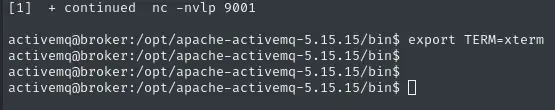 Exporting TERM variable to xterm