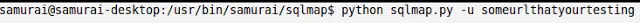 Sqlmap command showing the target URL parameter