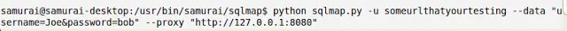 Sqlmap command showing POST data, cookie, and proxy parameters