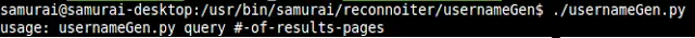 Reconnoiter username generator command syntax showing usage options