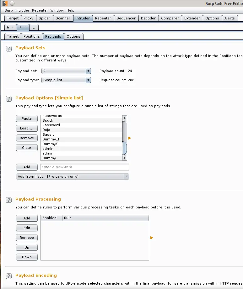 Burp Intruder payloads tab with word list loaded