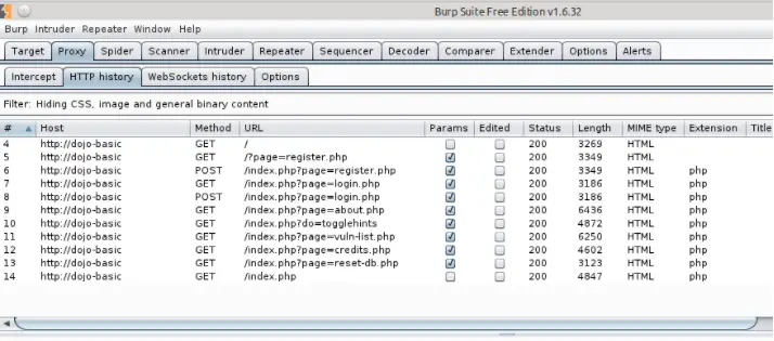 Burp Suite HTTP history showing captured transactions