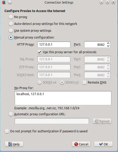 Firefox manual proxy configuration for Burp