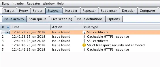 Burp Scanner listing discovered vulnerabilities