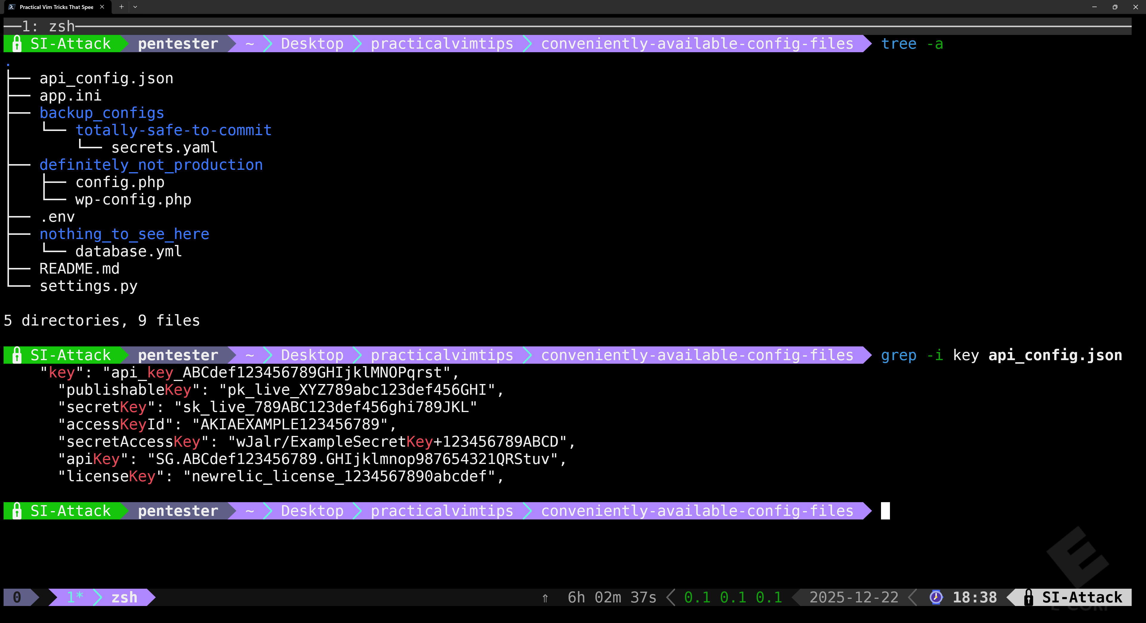 VIM01