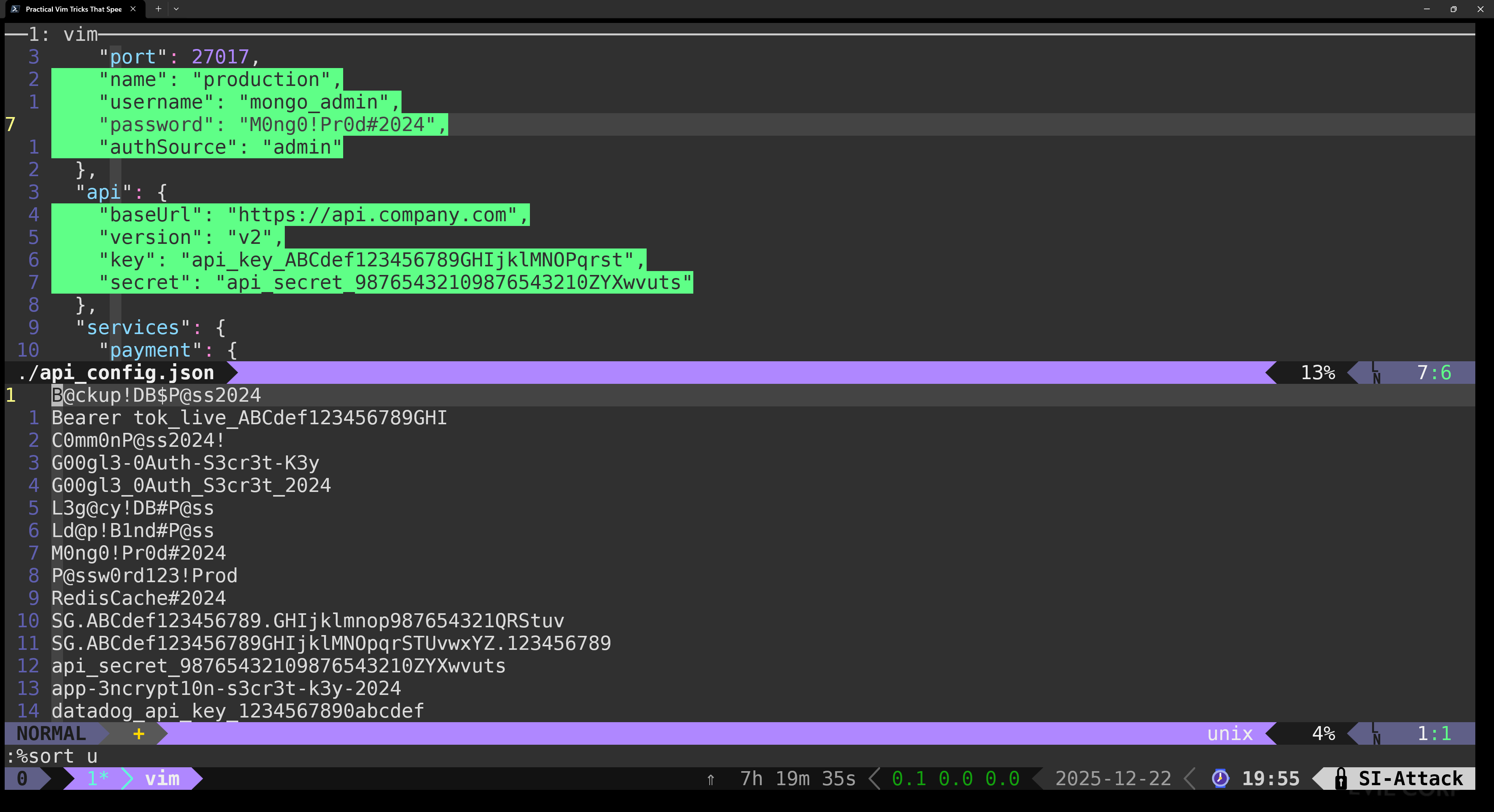 VIM08