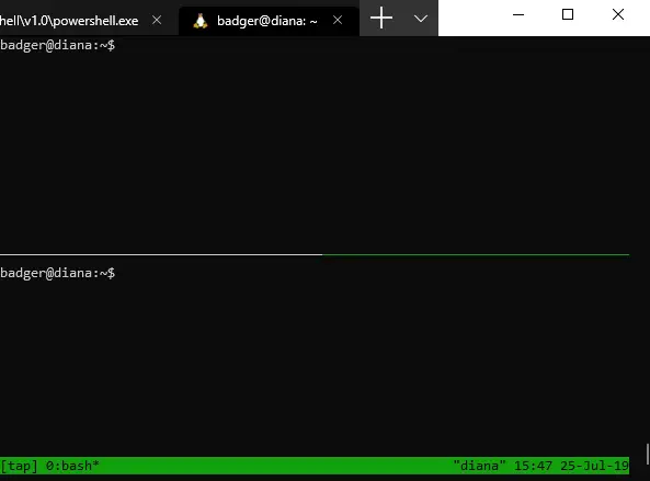 Split tmux session showing two panes ready for capturing on separate interfaces