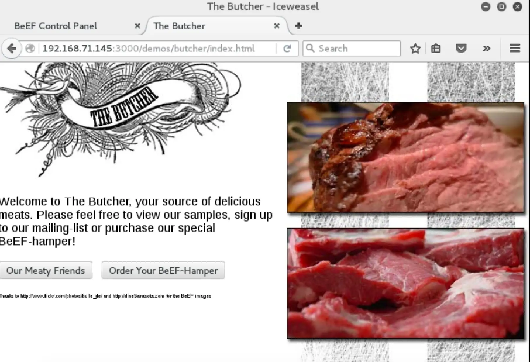 BeEF advanced demo page with additional form elements and hook script loaded