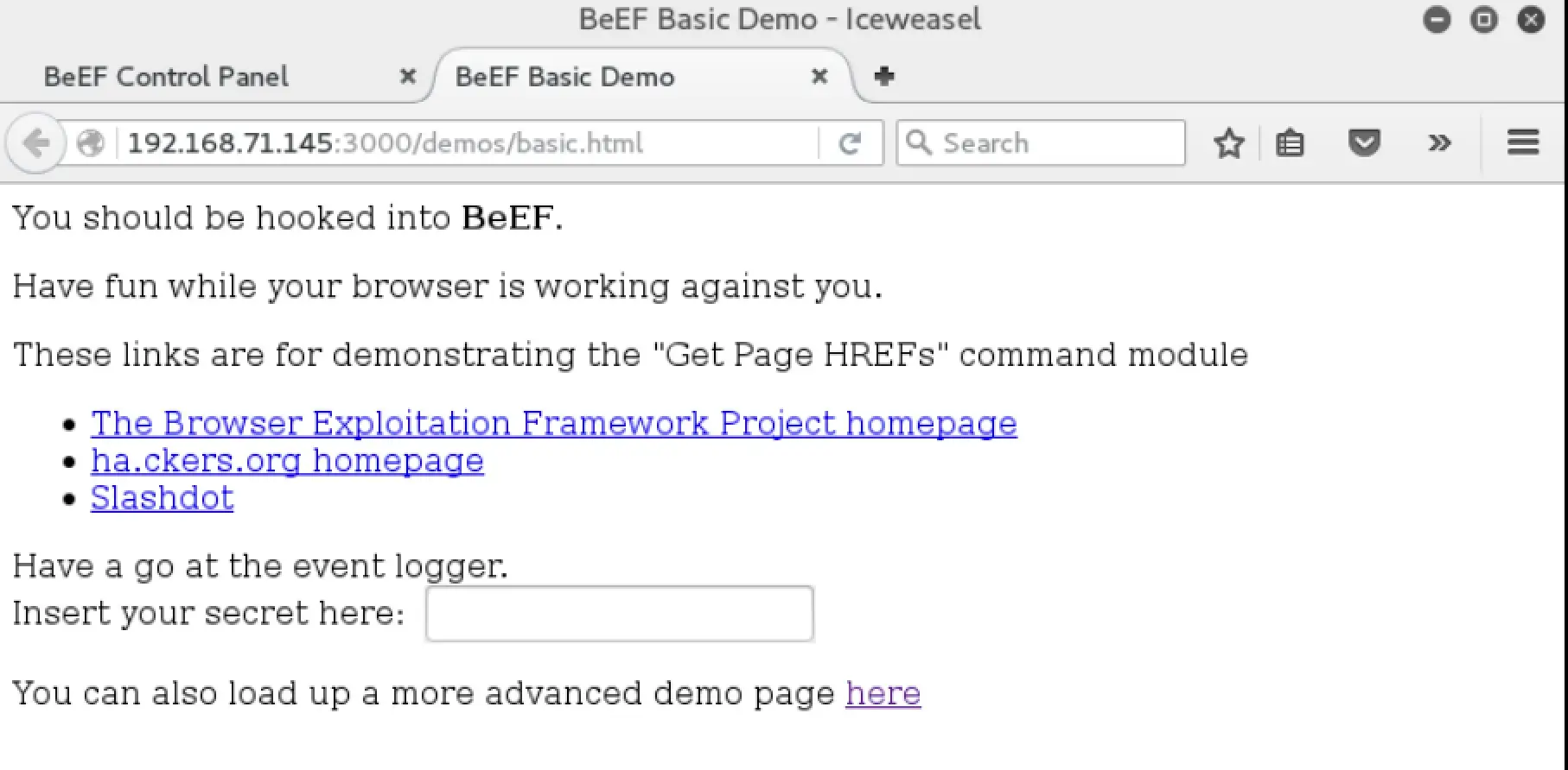 BeEF basic demo page with a simple text input and hook script loaded