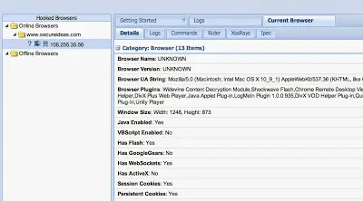 BeEF control panel showing a hooked browser connection
