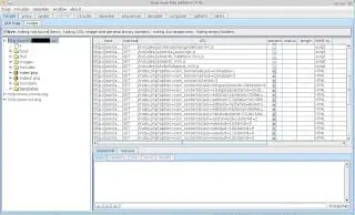Burp Suite site map showing the target application mapped as an administrator user