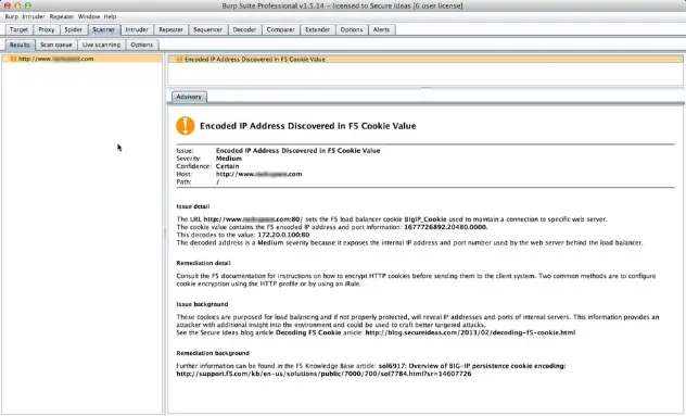 Burp Suite Scanner Advisory showing the decoded F5 BigIP cookie finding