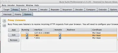 Burp Suite showing proxy listeners on ports 80 and 443