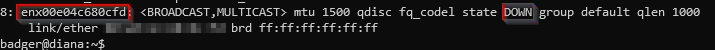 ip a output showing the USB-C ethernet adapter interface in DOWN state