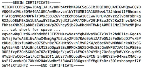 Contents of the ca.crt file showing the Base64-encoded certificate