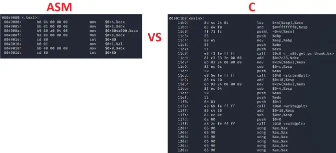 Objdump comparison of NASM _start vs C main function