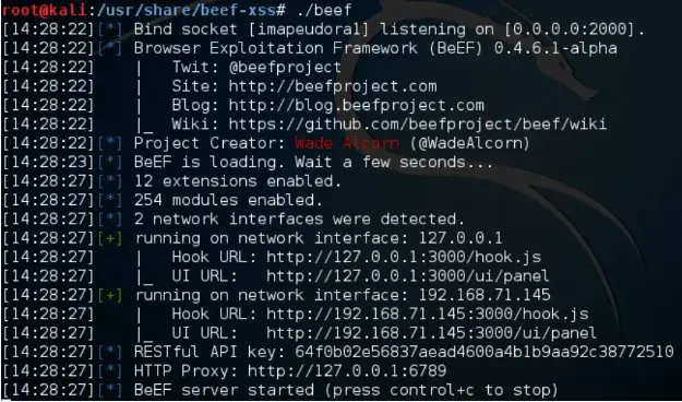 Terminal output showing BeEF starting up and listening on all interfaces on port 3000
