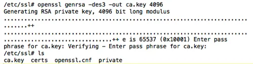 Terminal output showing the OpenSSL genrsa command creating the CA private key