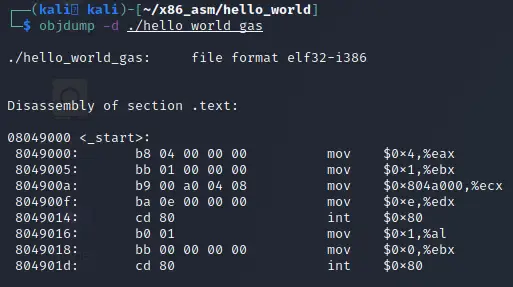 Objdump output of our original Hello World GAS program