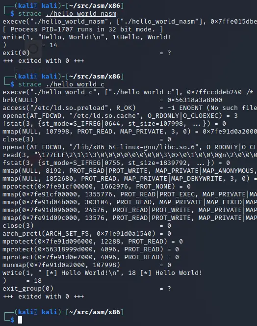 Comparing strace output of NASM and C Hello World applications