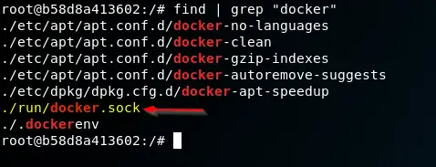 Terminal showing the Docker socket file mounted inside the container at /var/run/docker.sock