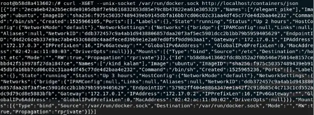 JSON output from Docker API listing all running containers with their configuration details