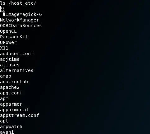 Directory listing of /host_etc showing the host system's etc directory contents mounted inside the container